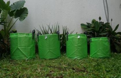Ukuran Planter Bag Ideal untuk Tanaman Buah di Rumah